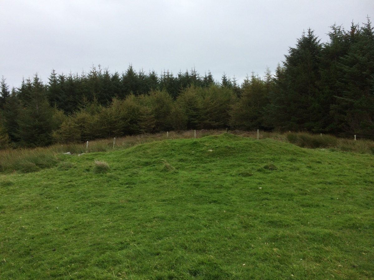 Upper Cragabus Cairn on the edge of a pine forest.