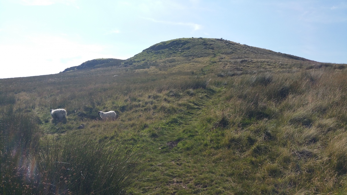 Click for full size image of Ballageich Hill (PID:285269) Ballageich Hill