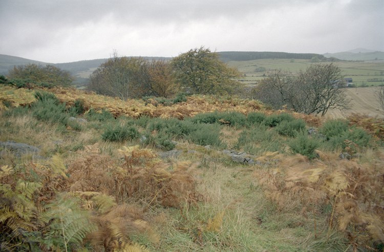 Berry Hill Enclosure