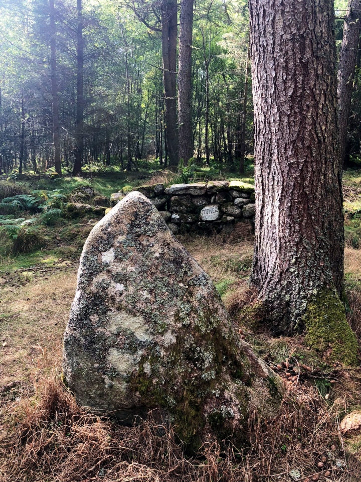 Gouk Stane (Bennachie)