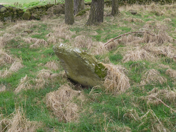 Balnacraig Stone Circle