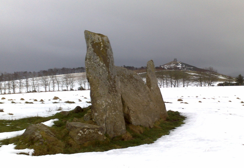 Click for full size image of Stonehead (PID:55284) Stonehead