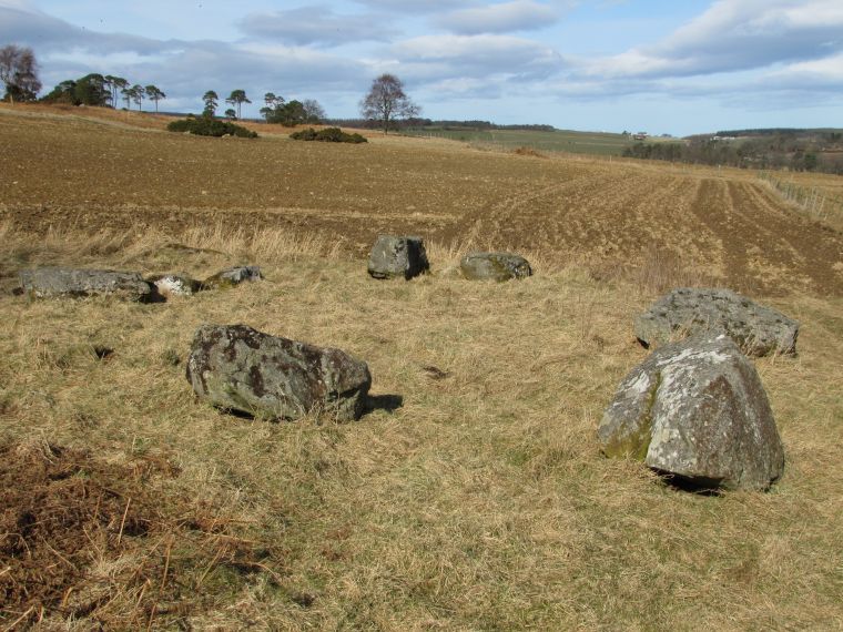 Whitehill Wood Whitehill Wood Stone Circle lies south of the B9025 Turriff-Aberchirder road in north Aberdeenshire. Turn off at the junction signposted 'Bogton 1 mile' and continue until, just after a sharp bent to the right, the gatehouse to Carnousie Estate/Castle appears. Go through this gateway and follow the eatate track for 0.4 mile then park on the verge opposite Carnousie Castle (which is on the right).