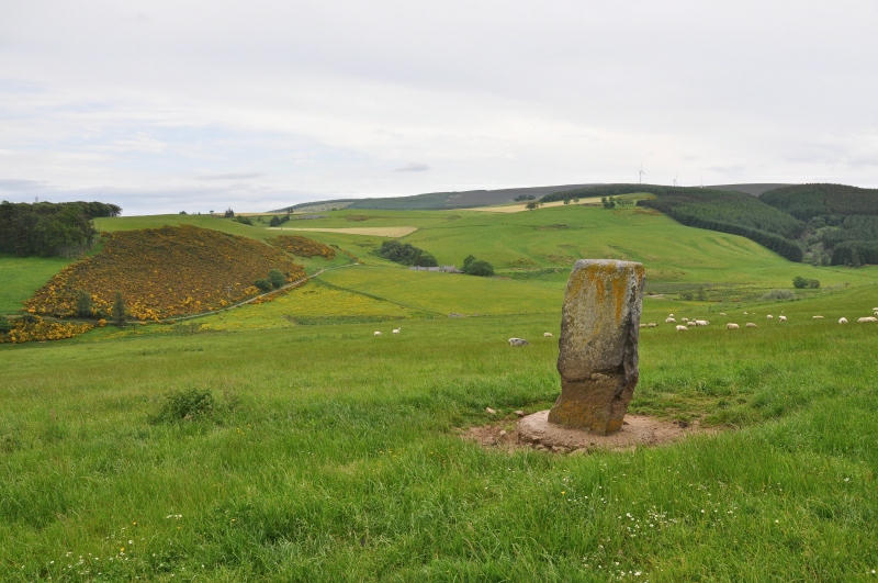 Craw Stane,Pictish Symbol Stone. View from north.
June 2010