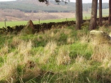 Balnacraig Stone Circle