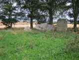 Click for full size image of Berrybrae (PID:97556) Berrybrae