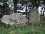 Click for full size image of Berrybrae (PID:97557) Berrybrae