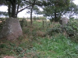 Click for full size image of Berrybrae (PID:97552) Berrybrae