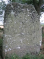 Click for full size image of Berrybrae (PID:97553) Berrybrae