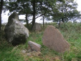Click for full size image of Berrybrae (PID:97554) Berrybrae