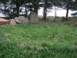 Click for full size image of Berrybrae (PID:97551) Berrybrae