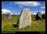 Broomend of Crichie Pictish Symbol Stone - PID:36204