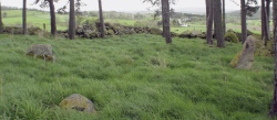 Balnacraig Stone Circle - PID:12015