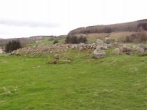Bucharn - PID:13004