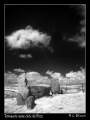 Click for full size image of Tomnaverie (PID:72556) Tomnaverie