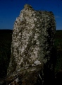 Click for full size image of Auchquhorthies (PID:259894) Auchquhorthies