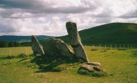 Click for full size image of Stonehead (PID:107455) Stonehead