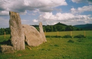 Click for full size image of Stonehead (PID:107456) Stonehead