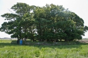 Click for full size image of Netherton (PID:60548) Netherton