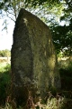 Click for full size image of Berrybrae (PID:275858) Berrybrae