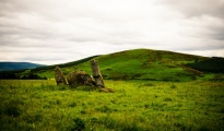 Click for full size image of Stonehead (PID:60911) Stonehead