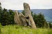 Click for full size image of Stonehead (PID:60907) Stonehead