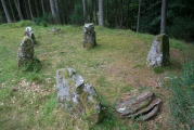Click for full size image of Glassel (PID:169737) Glassel