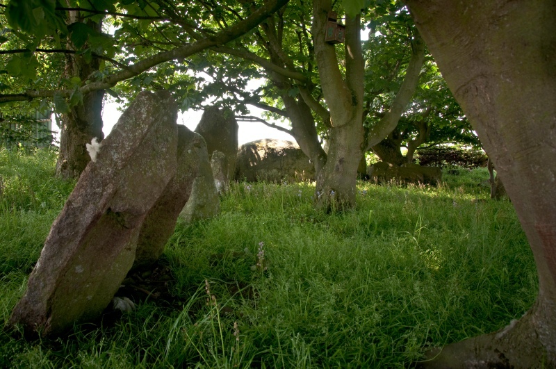 Click for full size image of Netherton (PID:60544) Netherton