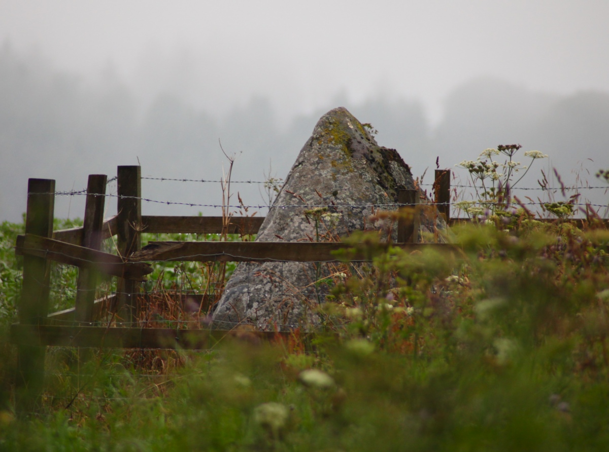 Click for full size image of Caddam (Kirriemuir) (PID:293178) Caddam (Kirriemuir)