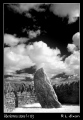 Click for full size image of Aberlemno (PID:47264) Aberlemno
