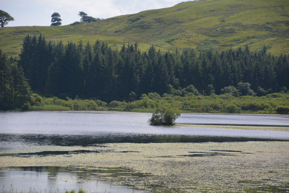 Loch Ederline