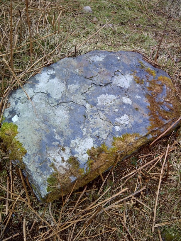 Sidhean Riabhach (PID:86412) Sidhean Riabhach