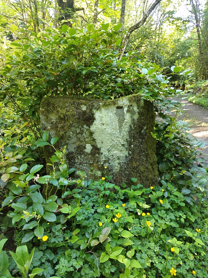 Kilmory Castle Standing Stone