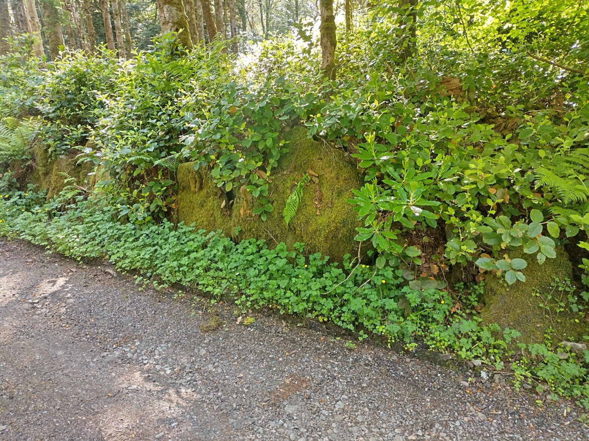 Kilmory Castle Standing Stone