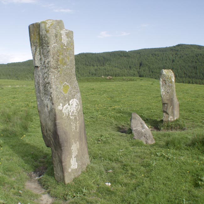 Photo used by kind permission of Tom Bullock. More details of this location are to be found on his Stone Circles and Rows CD-ROM.