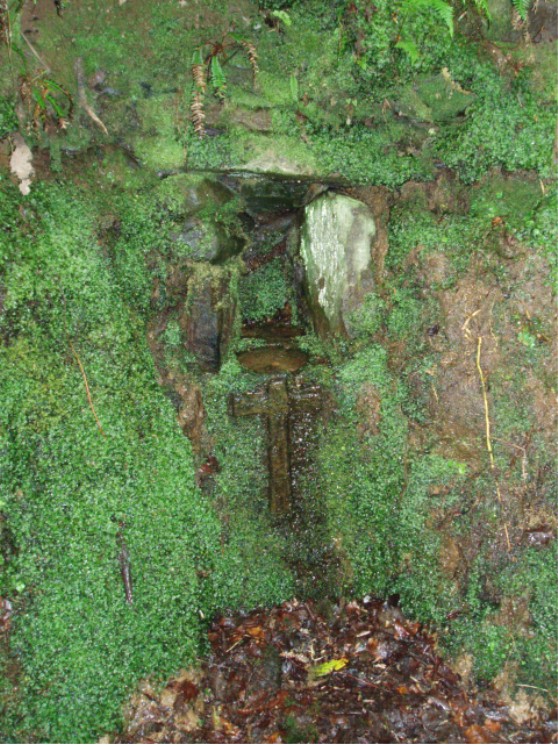 Holy Well (Saddell Abbey)