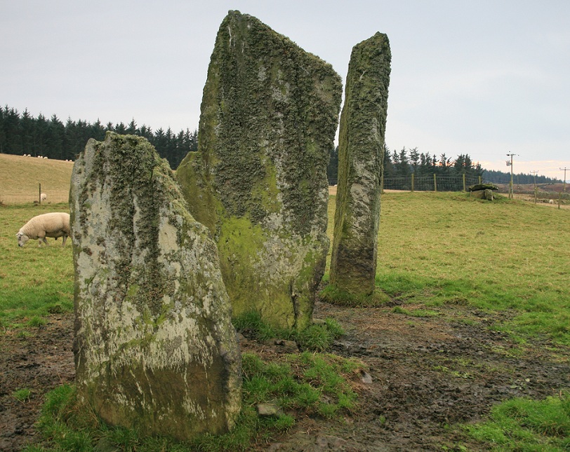 Click for full size image of Ballochroy (PID:106702) Ballochroy