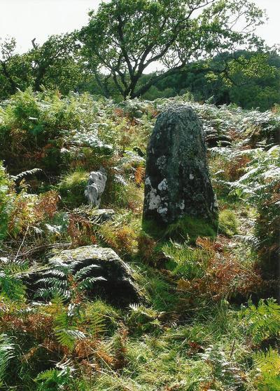 Click for full size image of Port Donain Chambered Cairn (PID:107916) Port Donain Chambered Cairn