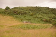 Click for full size image of Clach An T-Sagairt (PID:184243) Clach An T-Sagairt