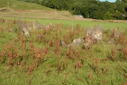 Click for full size image of Ballymeanoch Kerb Cairn (PID:184508) Ballymeanoch Kerb Cairn