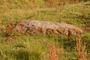 Click for full size image of Ballymeanoch Kerb Cairn (PID:184509) Ballymeanoch Kerb Cairn