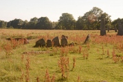 Click for full size image of Ballymeanoch Kerb Cairn (PID:184506) Ballymeanoch Kerb Cairn