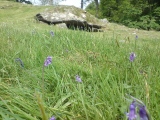 Dunchraigaig Cairn