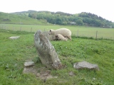 Click for full size image of Ballymeanoch Kerb Cairn (PID:234448) Ballymeanoch Kerb Cairn