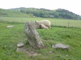 Ballymeanoch Kerb Cairn