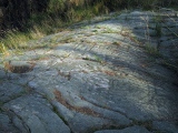 Click for full size image of Achnabreck Forest Rock Art (PID:67262) Achnabreck Forest Rock Art