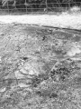 Click for full size image of Achnabreck Eastern Rock (PID:202007) Achnabreck Eastern Rock