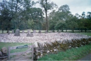 Click for full size image of Temple Wood S (PID:1155) Temple Wood S