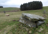 Click for full size image of Ballochroy (PID:175819) Ballochroy