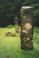 Click for full size image of Dervaig centre (PID:126632) Dervaig centre